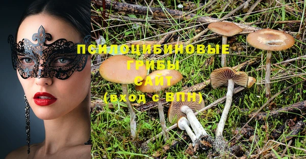 PSILOCYBIN Балабаново