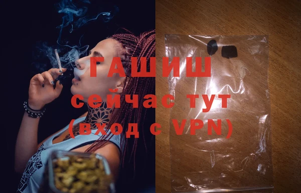 PSILOCYBIN Балабаново